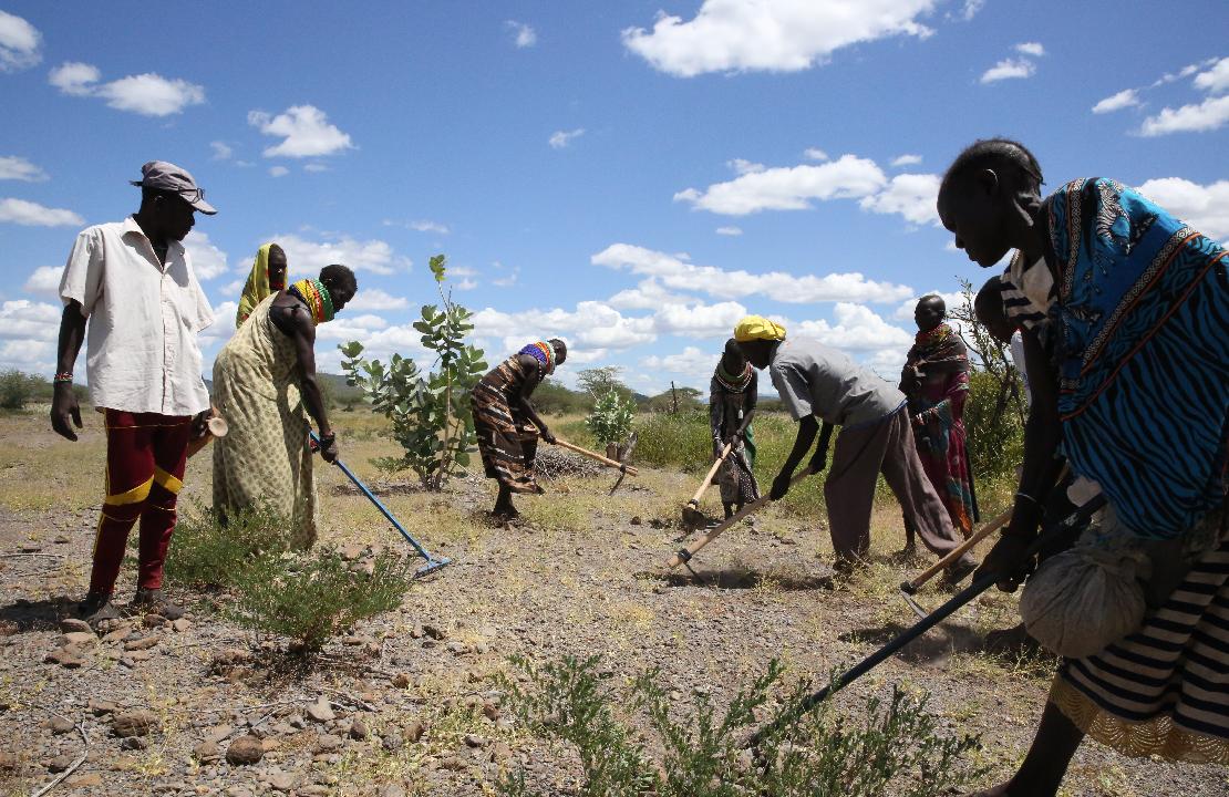 자연자원관리위원회와 주민들의 힘으로 직접 일군 푸른 목초지